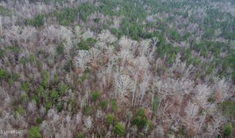Saint John Road, Braxton, MS 39044