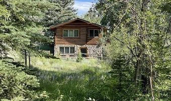 209 Deer Path Ln, Almont, CO 81230