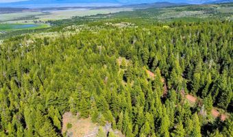 9454 Ridge Rd, Alturas, CA 96101