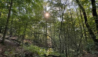 0 Military Rd, Beaverton, AL 35544