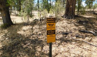 10 N2310, Alpine, AZ 85920