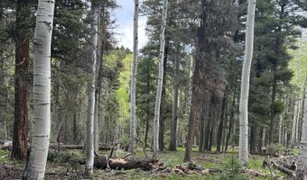 Lot 1419 Sacramento, Angel Fire, NM 87710