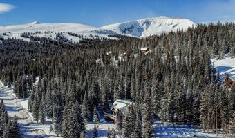 229 Lee Ln, Breckenridge, CO 80424