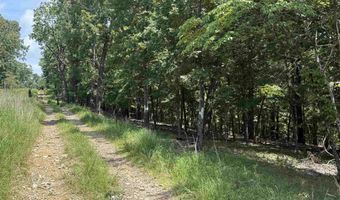 0 County Road 35, Clarkridge, AR 72623