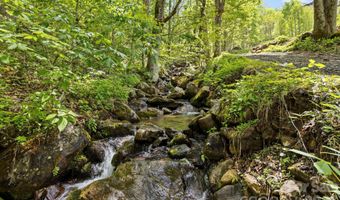 1108 Pine Root Branch Rd, Bakersville, NC 28705