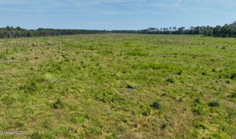 38774 S Mccarrol Rd, Amite, LA 70422