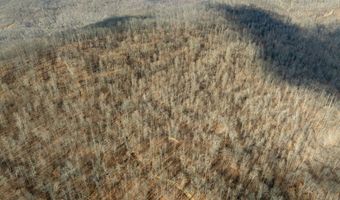 700 Acres Puncheon Creek Ln, Allred, TN 38542