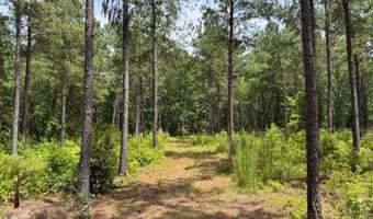 Fox Paw Court, Branchville, SC 29432