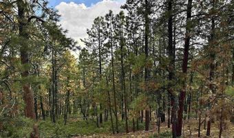 259 Hillside Cir, Bayfield, CO 81122