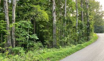 0 Willow Grove Hwy, Allons, TN 38541