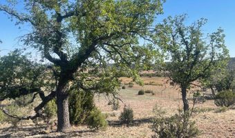 1751 Forest Service Rd 163, Clay Springs, AZ 85923