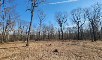 Lawrence 2080, Ash Grove, MO 65604