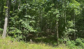 Lot 1 & 2 Rt. 1 Muddy Creek Mountain, Alderson, WV 24910
