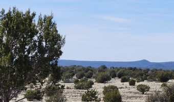 644 Cortez Ranch Rd, Ash Fork, AZ 86320