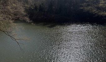 County Road 3782 lot 11, Arley, AL 35541
