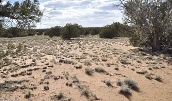 176 CR N5549, Concho, AZ 85924