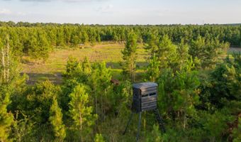 Mann Road, Arabi, GA 31712