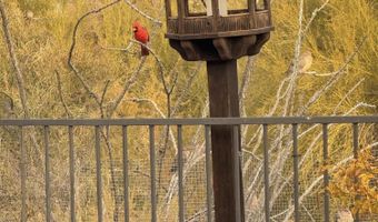 9446 E ROMPING Rd, Carefree, AZ 85377