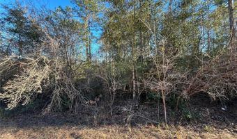 Goreville Avenue, Alford, FL 32420