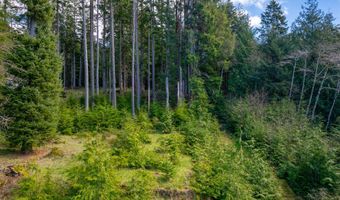 Walsh Ln, Arch Cape, OR 97102