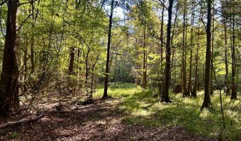 0 Lloyd Mill Rd, Andalusia, AL 36421
