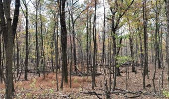 BIG HORN Trail, Augusta, WV 26704