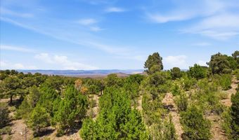 154 Oak Trail Cir, Cold Creek, NV 89124