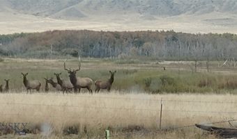 44 Spires, Belfry, MT 59008