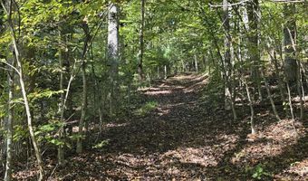 HURT HOLLOW RD, Banco, VA 22711