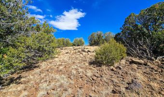 Show Low Pines Unit 3 lot 468, Concho, AZ 85924