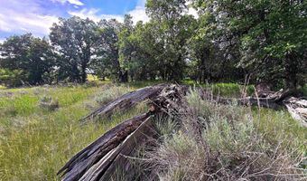 3159 Mona Rd, Aladdin, WY 82710