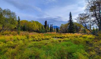 45161 Glenn Hwy, Chickaloon, AK 99674