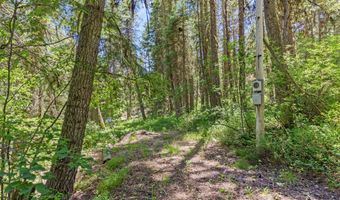 520 Susan Rd Lot 25, Cascade, ID 83611