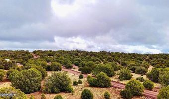 Tbd Co Rd 8256 Lot D 10 Acres, Concho, AZ 85924