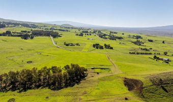 23 ALULIKE Rd, Kamuela, HI 96743