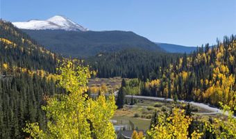 1139 BOREAS PASS Rd, Breckenridge, CO 80424