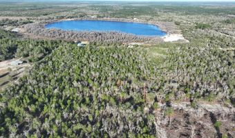 NW Lake McKenzie Rd, Altha, FL 32421