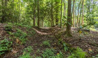 1034 Chestnut Flats Rd, Andrews, NC 28901