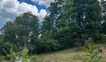 225 Lynfield Pl, Artie, WV 25008