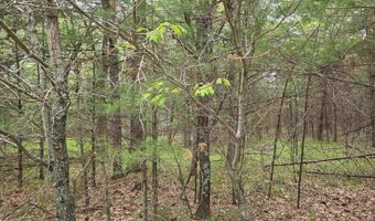 S Badger Lane lot 39, Arkdale, WI 54613