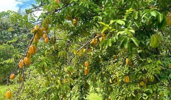 15-1912 28TH Ave, Keaau, HI 96749