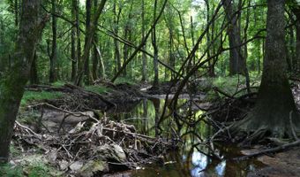 0 County Rd 22, Auburn, AL 36830
