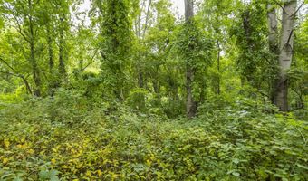 V/L 60th St Par C, Alto, MI 49302