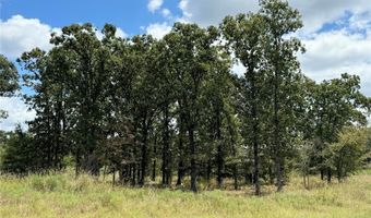 Lot 21 Rains County Rd 2610, Alba, TX 75410