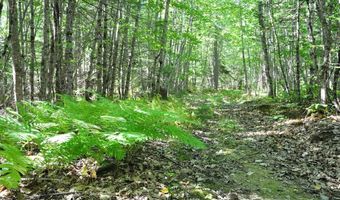 1765 Ohio St, Bangor, ME 04401