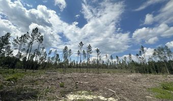 Parcel A Yellow River Baptist Church Road 22 Ac+/-, Baker, FL 32531