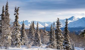 45161 Glenn Hwy, Chickaloon, AK 99674