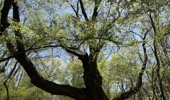 SW Auburn Drive, Bogue Chitto, MS 39629