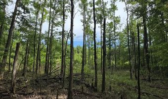 HWY 9, Banner, MS 38913