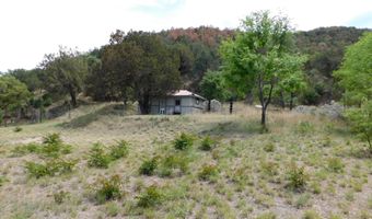 1697 Tombstone Cyn, Bisbee, AZ 85603